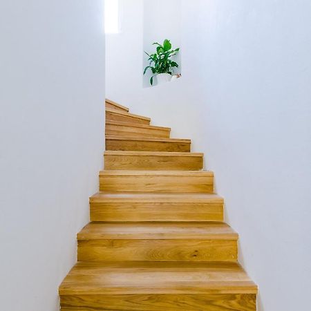 דוברובניק Villa Roma מראה חיצוני תמונה